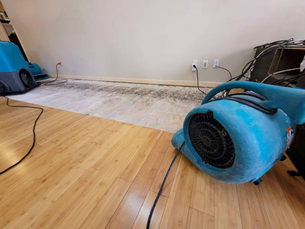 Professional Ceiling Water Damage Repair technician working in Midway, FL